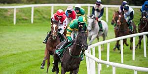 A Day out at the Races