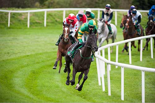 A Day At The Races